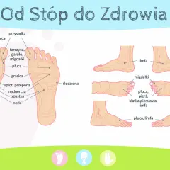 Schemat stóp z zaznaczonymi punktami odpowiedzialnymi za narządy: wątroba, nerki, nadnercza, płuca, migdałki, tarczyca.