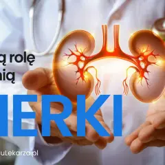 Dłonie trzymające schemat nerki w ciele. Tekst pyta: "Jaką rolę pełnią NERKI".
