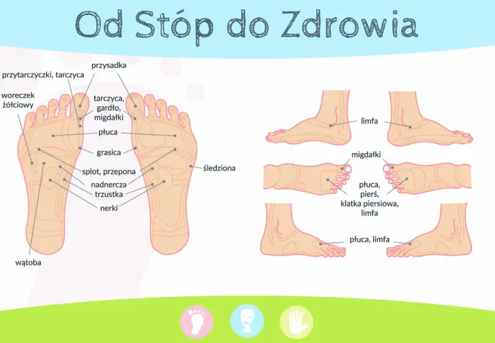 Schemat stóp z zaznaczonymi punktami odpowiedzialnymi za narządy: wątroba, nerki, nadnercza, płuca, migdałki, tarczyca.