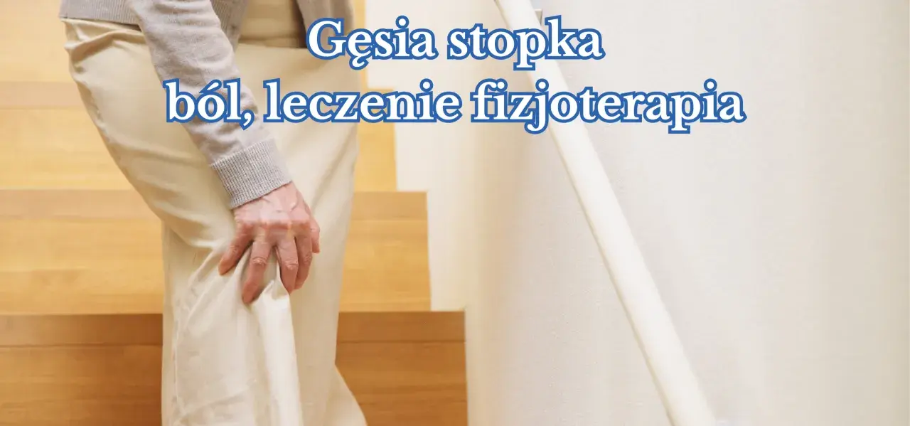 Osoba z bólem w nodze, prawdopodobnie z powodu zapalenia gęsiej stopki, szuka ulgi w fizjoterapii.