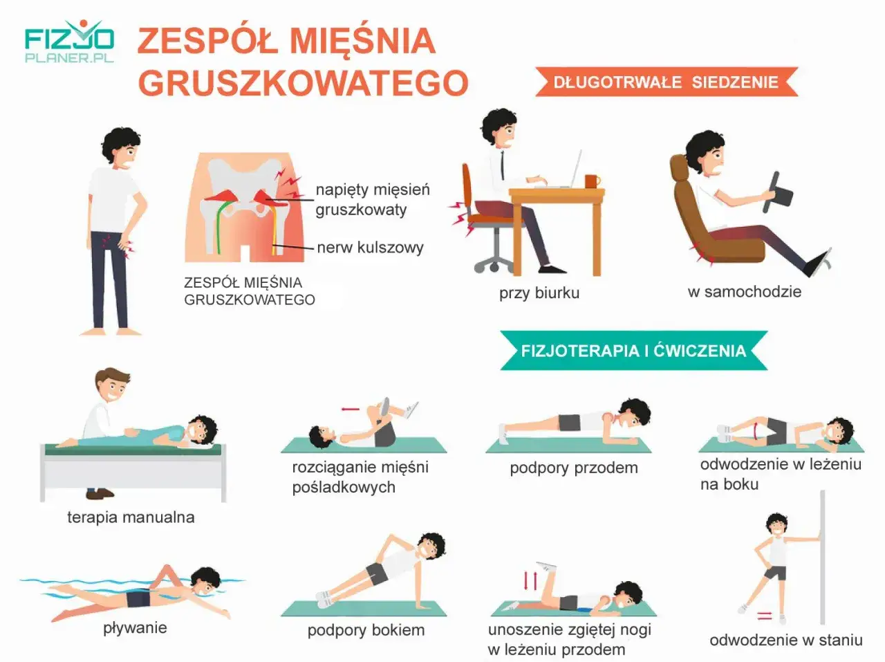Ilustracja pokazuje zespół mięśnia gruszkowatego, jego przyczyny (długotrwałe siedzenie) i sposoby leczenia: fizjoterapię i ćwiczenia, jak pozbyć się bólu mięśnia gruszkowatego.