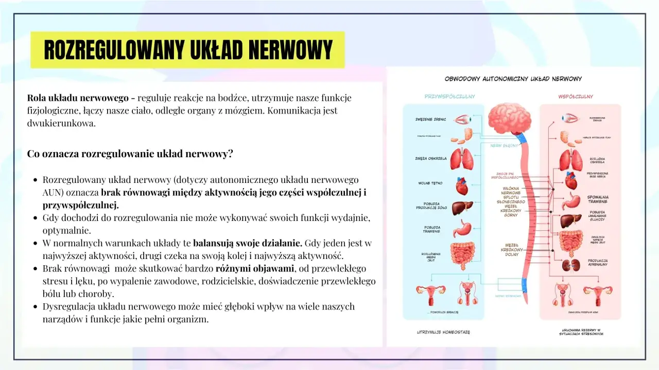 Ilustracja przedstawia autonomiczny układ nerwowy, porównując jego przywspółczulne i współczulne działanie na narządy.